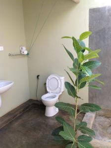 ein Badezimmer mit einem WC und einer Pflanze in der Unterkunft WildEscape, Yala Blocks 3 & 5 in Buttala