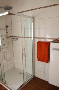 a bathroom with a shower with a glass door at Ferienhof Nirschl in Winzer
