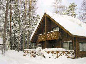 Log Cottage Epoch взимку