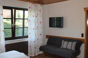 TV a/nebo společenská místnost v ubytování BELVEDERE Appart & Chalet - Ihr Zuhause auf Zeit am Edersee - Ihr Geschenk die GästeCard GrimmHeimat