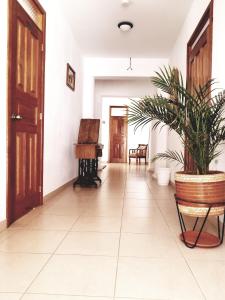 a hallway with a piano and a potted plant at Heritage Inn in Quito