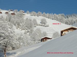 einen schneebedeckten Berg mit Häusern und Bäumen in der Unterkunft Appartement Laiminger in Brixen im Thale