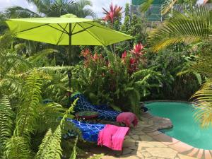 a green umbrella and a chair next to a pool at Le Chalet dAZAE in La Rivière