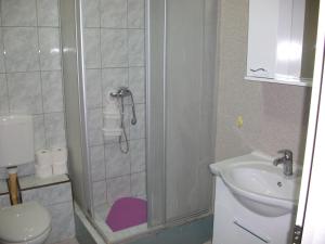a bathroom with a shower and a toilet and a sink at Apartments Petrovic in Krimovice