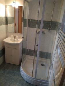ein Bad mit einer Dusche und einem Waschbecken in der Unterkunft Pension Motel Anna in Lenora