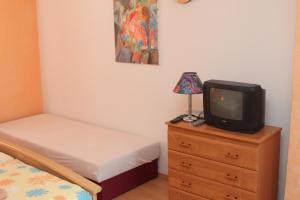 Televízia a/alebo spoločenská miestnosť v ubytovaní Pension Motel Anna