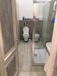 een badkamer met een toilet, een wastafel en een douche bij Le Mosse di Anna in Florence