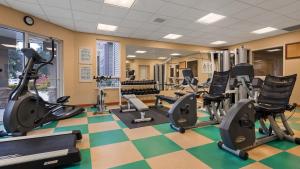Fitness centrum a/nebo fitness zařízení v ubytování Best Western PLUS Chemainus Inn