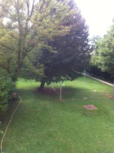 Zdjęcie z galerii obiektu Cosy flat near Schönbrunn w Wiedniu