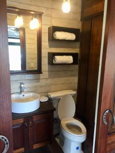 a bathroom with a toilet and a sink and a mirror at El Granero De Frida in Boquete +20 photos