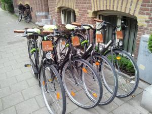 Montar en bicicleta en Hotel Alexander o alrededores