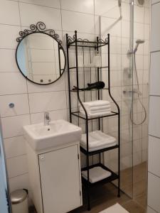 a bathroom with a shower and a sink and a mirror at Apartma Neža in Bled