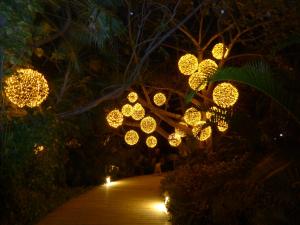 a bunch of lights hanging from trees at night at Suites at Mayan Palace Vidanta Resort Riviera Maya in Playa del Carmen