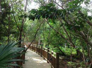 a wooden bridge in a forest with trees at Suites at Mayan Palace Vidanta Resort Riviera Maya in Playa del Carmen