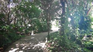 a path in the middle of a forest of trees at Suites at Mayan Palace Vidanta Resort Riviera Maya in Playa del Carmen
