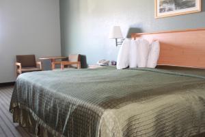 ein Hotelzimmer mit einem großen Bett mit weißen Kissen in der Unterkunft Booneslick Lodge - Jane in Jane