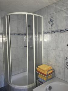 a bathroom with a shower and a bath tub at Ferienwohnung Biohof Laußnitzer in Rennweg in Rennweg