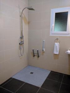 La salle de bains est pourvue d'une douche et d'une fenêtre. dans l'établissement Hotel Fleur de Lys, à Bailleul