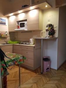 ブダペストにあるValentina Guesthouseの小さなキッチン(カウンター、電子レンジ付)