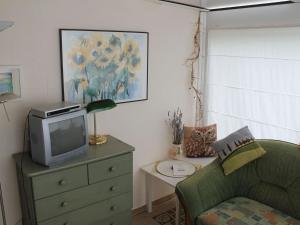 ein Wohnzimmer mit einem Sofa und einem TV auf einer Kommode in der Unterkunft Quaint Holiday Home in Schwaan near the Lake in Schwaan