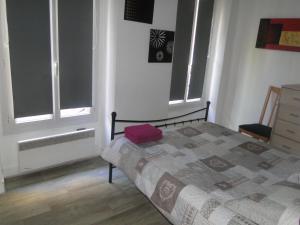 a bedroom with a bed and two windows at Apartement Pantheon in Paris