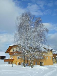 Ferienhaus Wohleser v zimě
