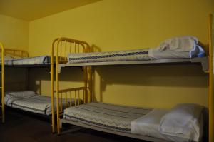Alberg Residència Esportiva Els Isardsにある二段ベッド