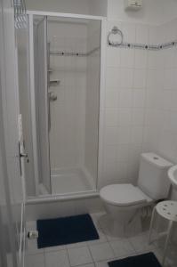 a white bathroom with a shower and a toilet at Apartmán pod Klínovcem in Jáchymov