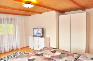 Televízia a/alebo spoločenská miestnosť v ubytovaní Ferienwohnung Vera