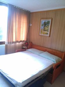 a bedroom with a large bed with a window at Marilleva 1400 "Il volpino" in Marilleva