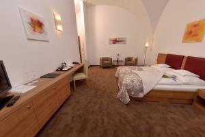 TV a/nebo společenská místnost v ubytování Hotel Altes Kloster