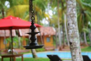 A piscina localizada em Kurumba Villas ou nos arredores