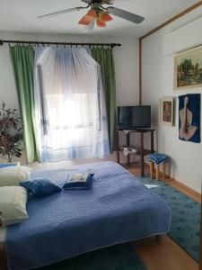 Televízia a/alebo spoločenská miestnosť v ubytovaní Apartment Jablanac 1