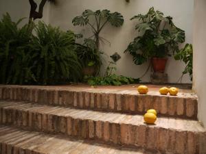 Fotografia z galérie ubytovania Entre2mezquitas 6 v destinácii Córdoba