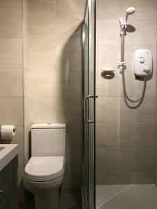 a bathroom with a toilet and a glass shower at Bright Oxford Apartment in Oxford