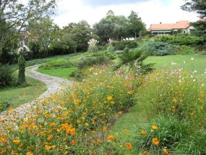 a garden with colorful flowers and a path at Posada los Cedros in La Cumbre