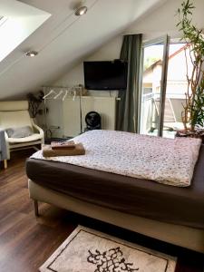 Fotografie z fotogalerie ubytování Guest Room in Stuttgart-Nord v Stuttgartu