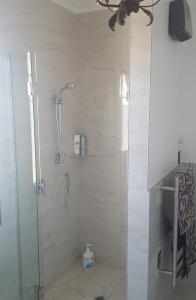 a shower with a glass door in a bathroom at Cromwell Lakeside B n B in Cromwell