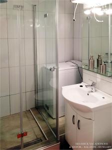 シオーフォクにあるSioShick Vacationsのバスルーム(洗面台、ガラス張りのシャワー付)
