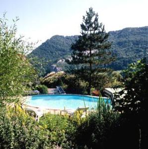 a swimming pool with a pine tree in the background at Hôtel Restaurant Taillard in Goumois