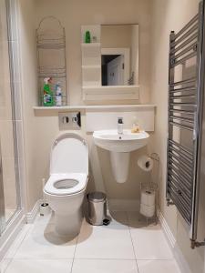 ウェストドライトンにあるStockley Apartments - Centralのバスルーム(白いトイレ、シンク付)