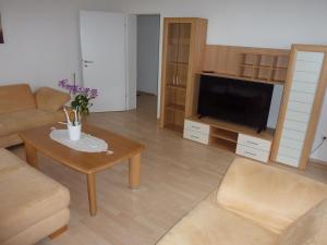 ein Wohnzimmer mit Sofa und Fernseher in der Unterkunft Ferienwohnung Landwehr in Großostheim