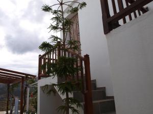 Fotografie z fotogalerie ubytování Batika Rooms v destinaci Artemonas