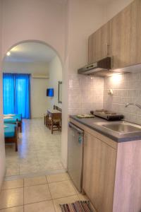 Kuchyň nebo kuchyňský kout v ubytování Hotel Mochlos