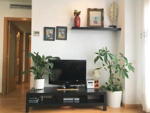 TV a/nebo společenská místnost v ubytování Apartment familiar