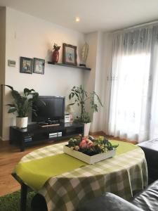 TV a/nebo společenská místnost v ubytování Apartment familiar