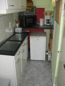 una pequeña cocina con fregadero y microondas en Charmante Ferienwohnung, en Plön