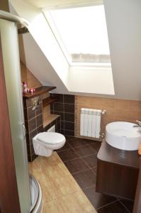 a bathroom with a toilet and a sink and a skylight at Białowieski Raj in Białowieża +54 photos