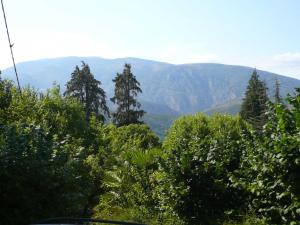 un groupe d'arbres avec des montagnes en arrière-plan dans l'établissement Appartement Cortal, à Vernet-les-Bains