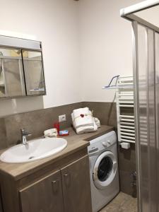 ボルミオにあるAppartamento Bormio centroのバスルーム(シンク、洗濯機付)
